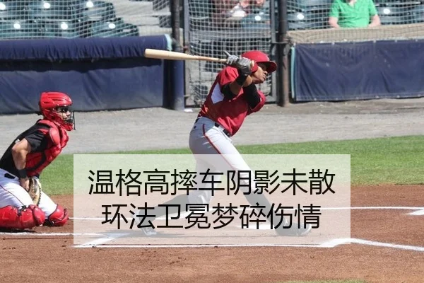 温格高摔车阴影未散 环法卫冕梦碎伤情