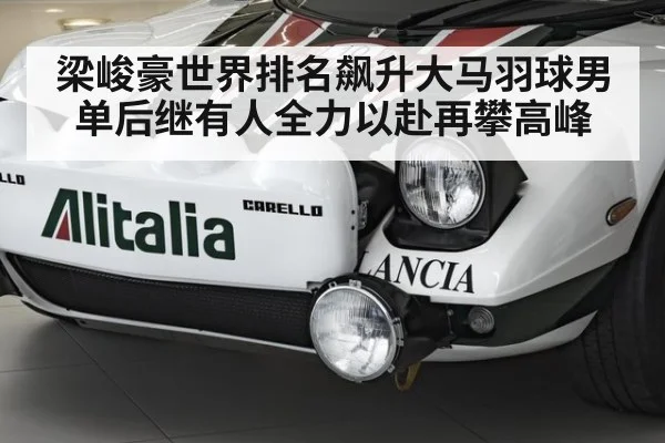 梁峻豪世界排名飙升大马羽球男单后继有人全力以赴再攀高峰